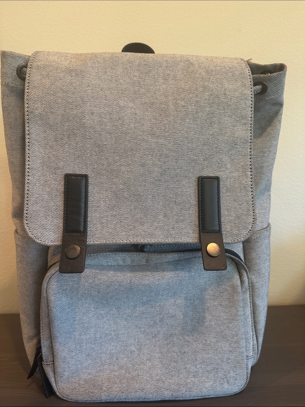 Everlane The Canvas Backpack with Front Pocket Unisex